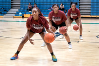 Girls Basketball Skills Camp June 12-13, 2023